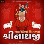 Mara Ghat Ma Birajta Shreenathji