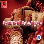 Chare Nilavilikal