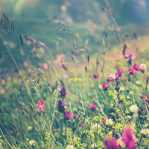 Sounds Of The World (Ambient) cover art