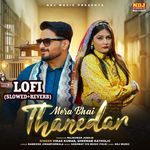 Mera Bhai Thanedar Lofi (Slowed + Reverb)