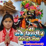 Mere Banke Bihari Mein Tera Ho Gaya