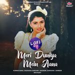 Meri Duniya Mein Aana - Lofi Mix