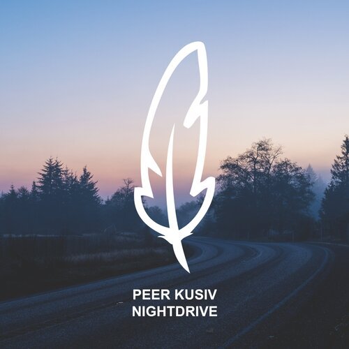 Nightdrive (Rauschhaus Remix) cover art