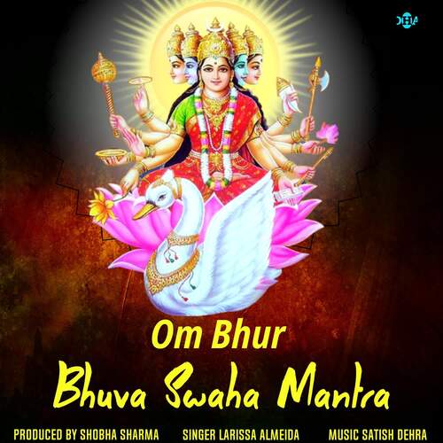 Om Bhur Bhuva Swaha Mantra