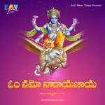 Om Namo Narayanaya