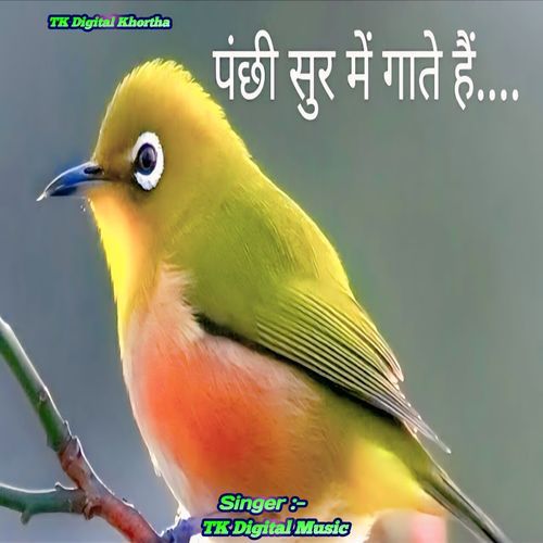 Panchi Sur Mein Gate Hain