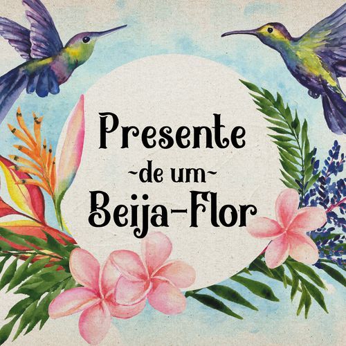 Presente de um beija-flor