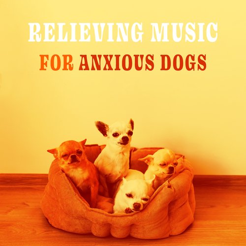 Relieving Music For Anxious Dogs – Doggie Home Alone