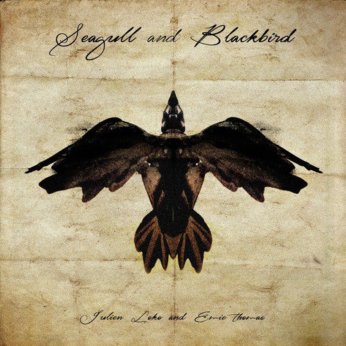 Seagull & Blackbird cover art