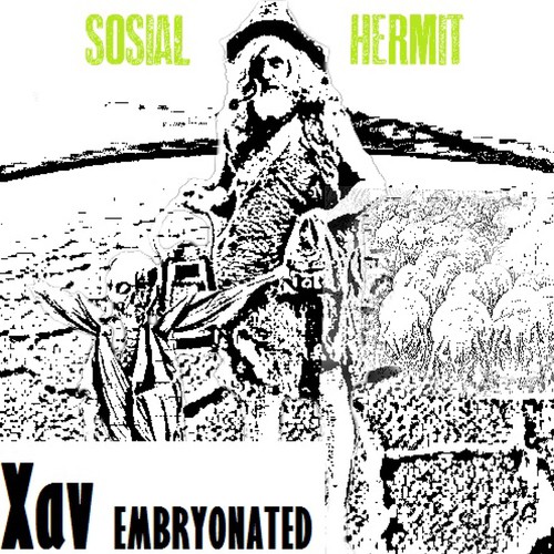 Sosial Hermit cover art