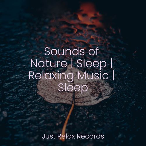 Sounds of Nature | Sleep | Relaxing Music | Sleep