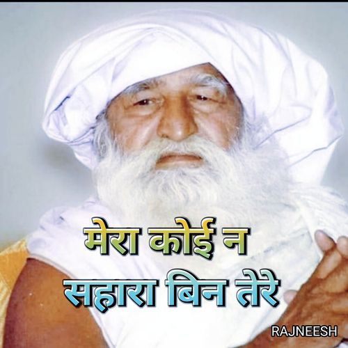 मेरा कोई न सहारा बिन तेरे