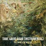 Tame Aavjo Aavjo (Instrumental)