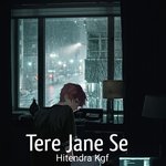 Tere Jane Se