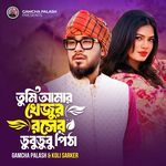 Tomi Amar Khejor Roser Dobodobo Pitha