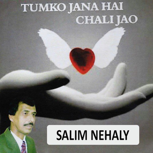 Salim Nehaly