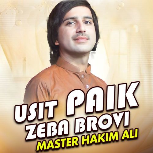 Usit Paik Zeba Brovi_poster_image