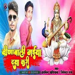 Vina Wali Maiya Daya Kari