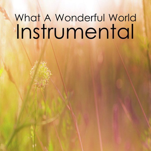 What a Wonderful World: Instrumental Song