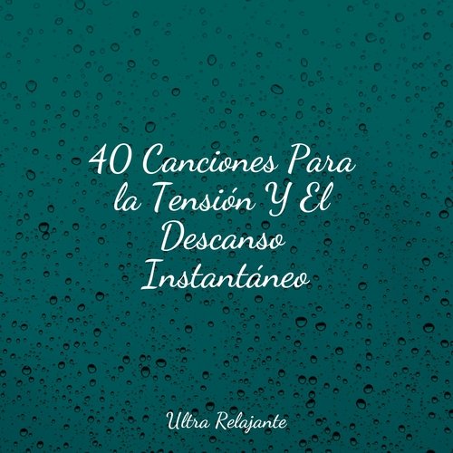 Boutique De Puestas De Sol cover art