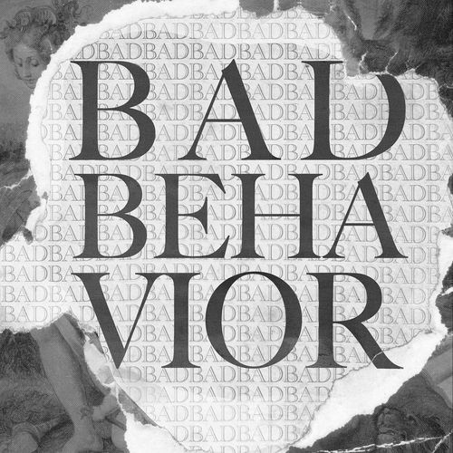 Bad Behavior