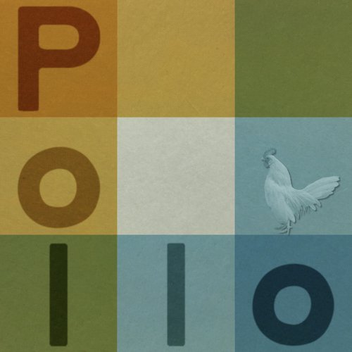 Pollo