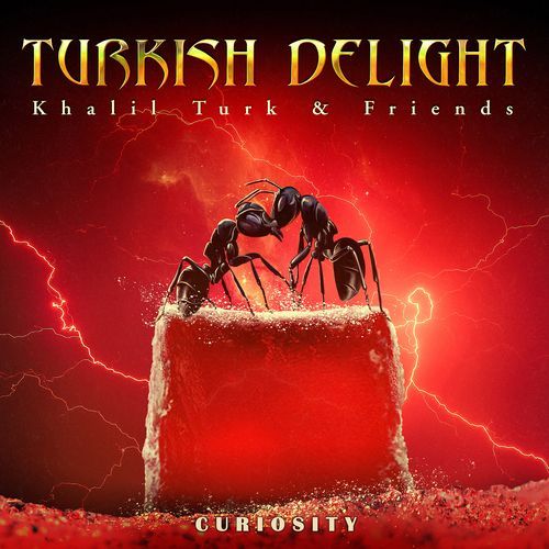 Curiosity "Turkish Delight" (feat.Pekka Heino)