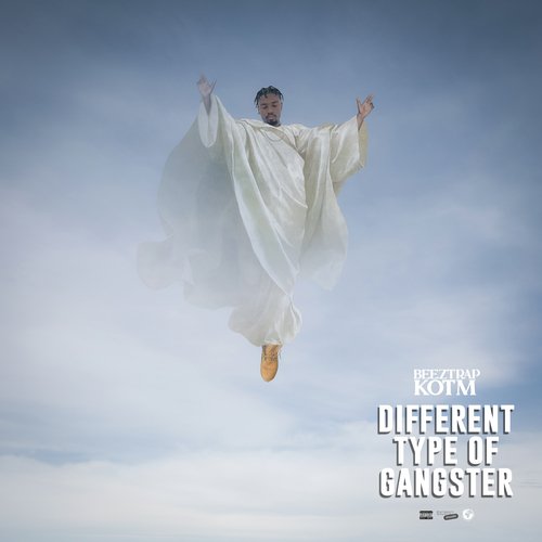 Different Type Of Gangster_poster_image