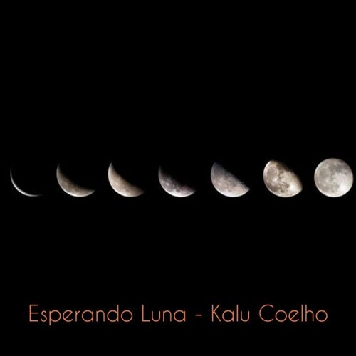 Esperando Luna_poster_image