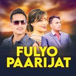 Fulyo Paarijat