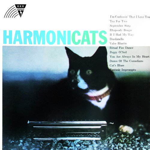 Cat Blues cover art