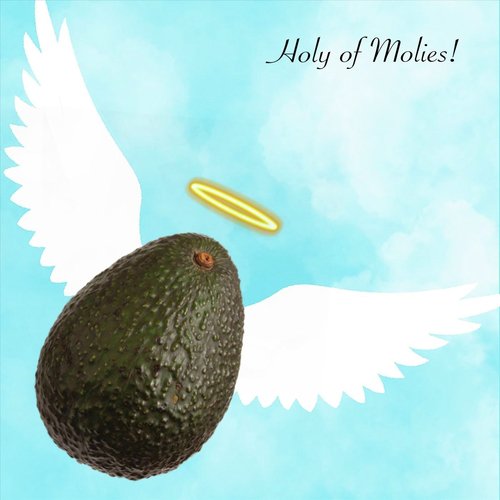Holy of Molies! cover art