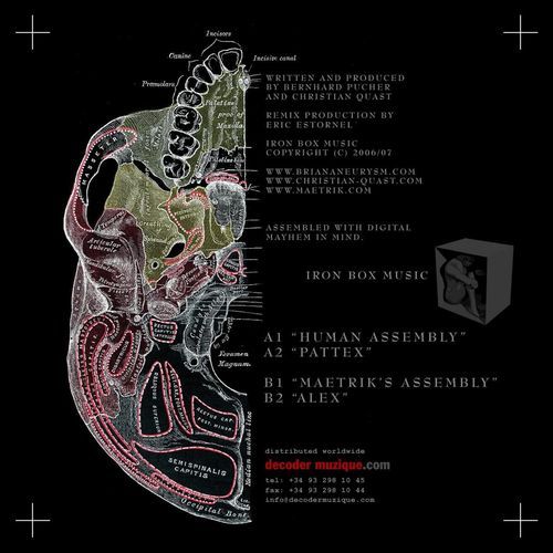 Alex cover art