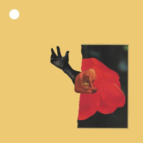 I Go Where You Go so You Don't Get Lonely cover art