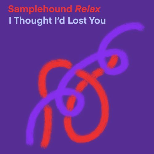 I Thought I'd Lost You