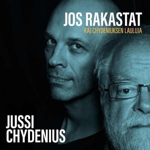 Viimeisestä illasta