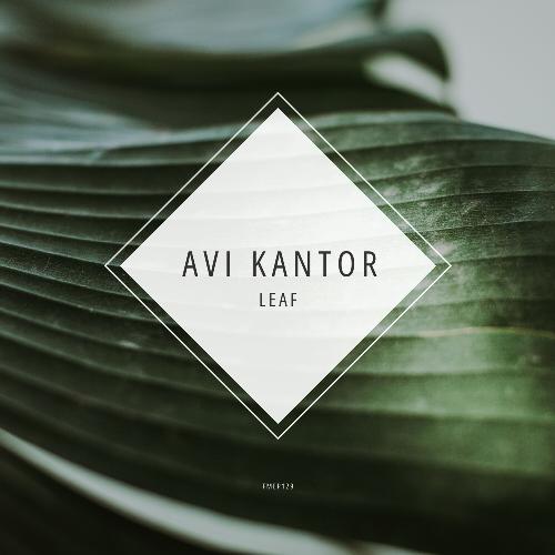Leaf cover art