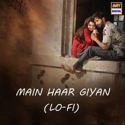 Main Haar Giyan (Lo-Fi)-CRJSYTV6X1U