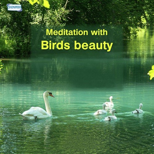 Meditation With Birds Beauty