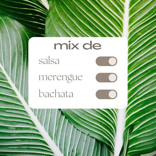 Mix de Salsa, Merengue y Bachata