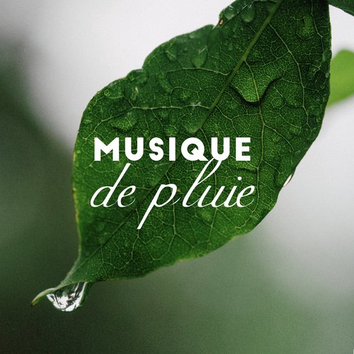 Zone de détente cover art