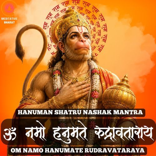 Om Namo Hanumate Rudravataraya