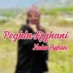 Peghla Afghani