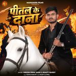 Pittal Ke Dana