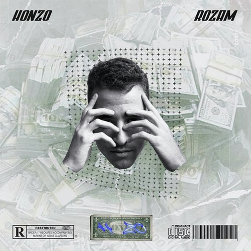 ROZAM cover art