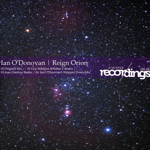 Reign Orion (Ioan Gamboa Remix) cover art