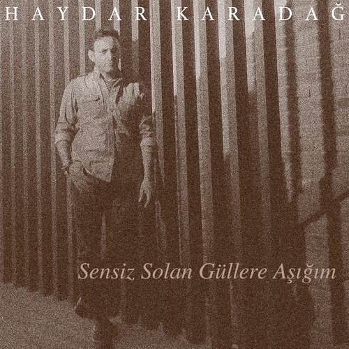 Sensiz Solan Güllere Aşığım cover art