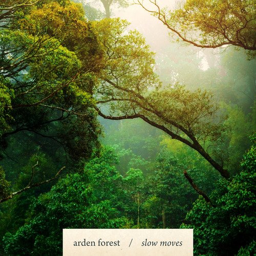 Slow Moves cover art