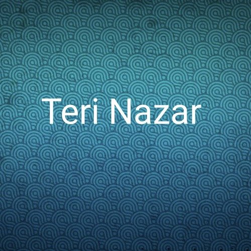 Teri Nazar