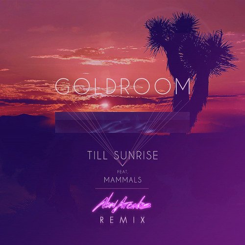 Till Sunrise (Remix)_poster_image